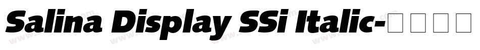 Salina Display SSi Italic字体转换